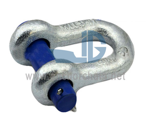 Ronde Pin Chain Shackle G215